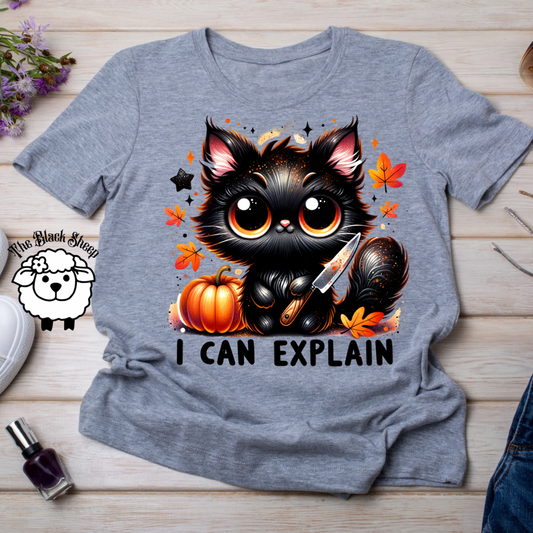 I Can Explain Kitty